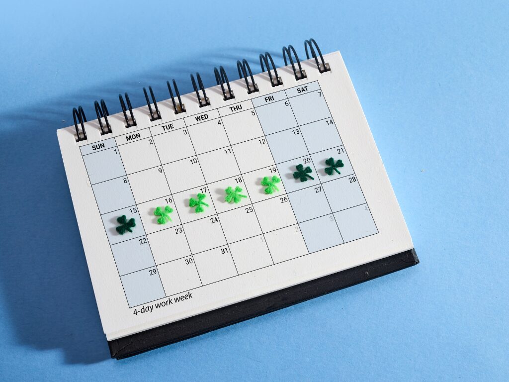 実際の1週間の食費・食材例