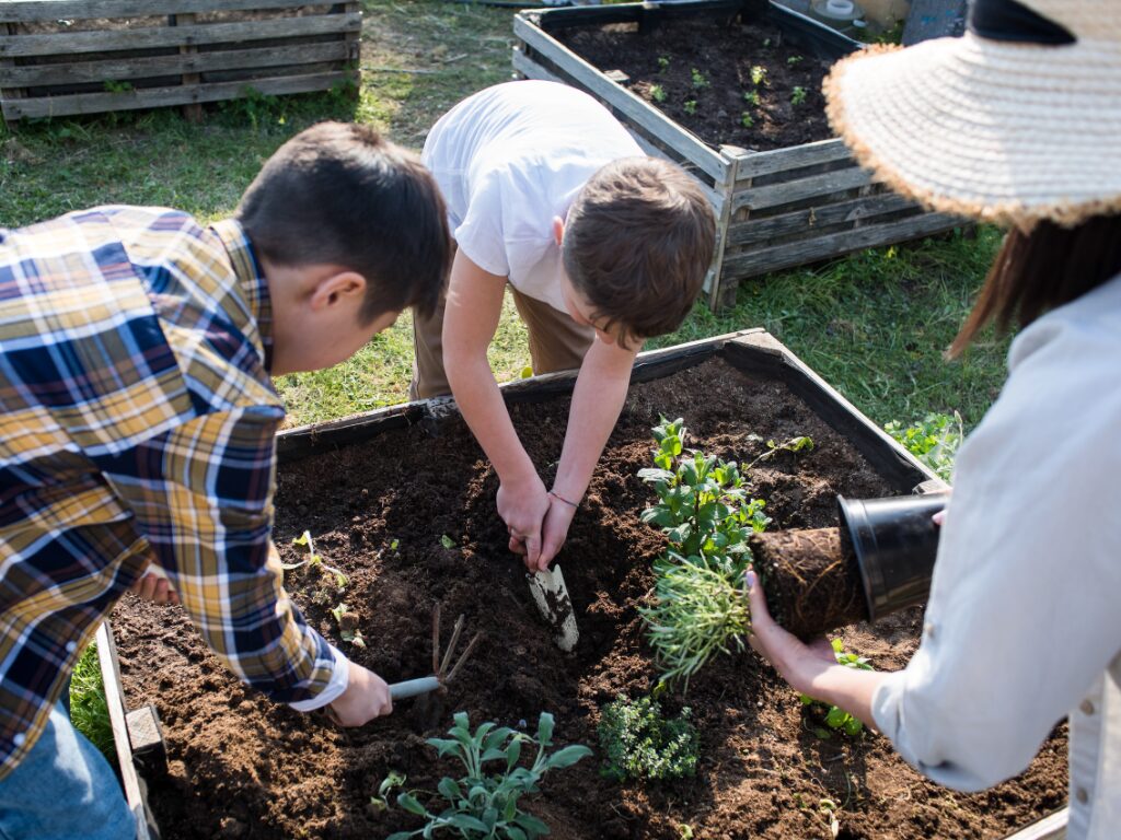 家庭菜園をすれば年間1万〜3万円の節約につながる